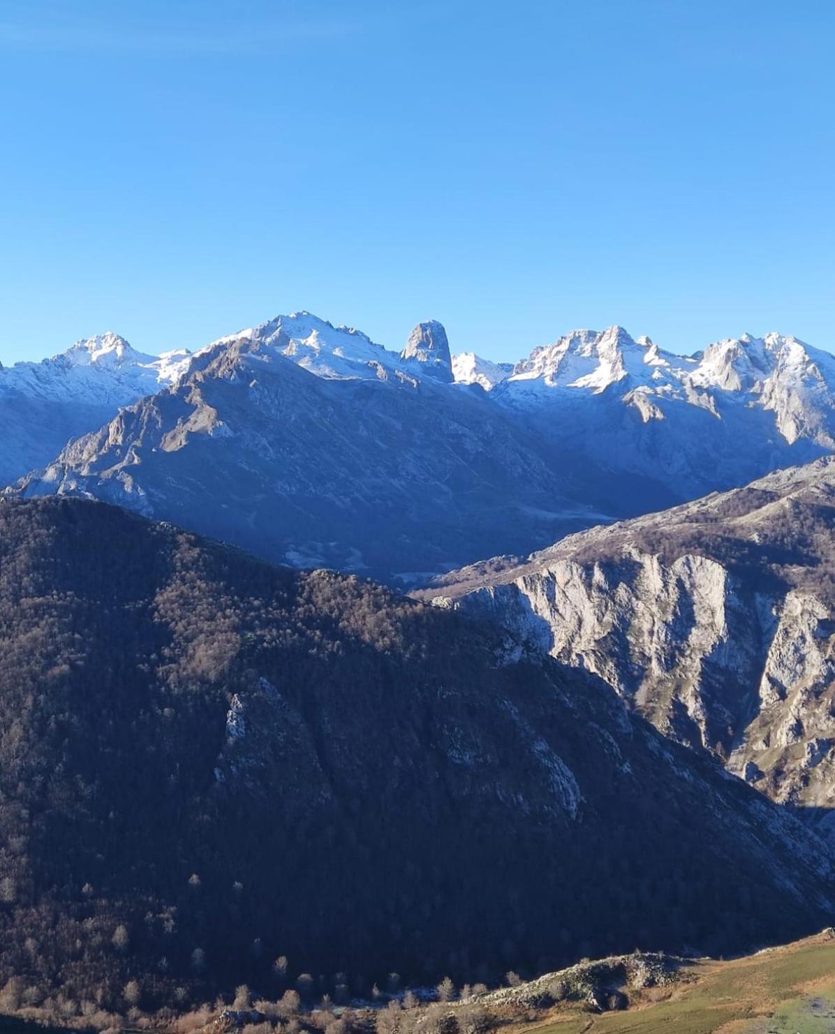 Вилла La Casina De Tielve De Cabrales Dentro Del Parque Nacional Picos De Europa Экстерьер фото