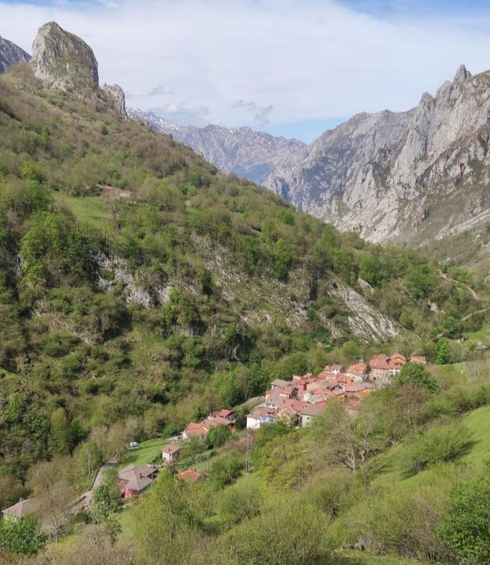 Вилла La Casina De Tielve De Cabrales Dentro Del Parque Nacional Picos De Europa Экстерьер фото